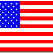 Load image into Gallery viewer, American Flag Sticker