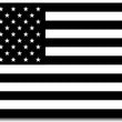 Load image into Gallery viewer, American Flag Sticker